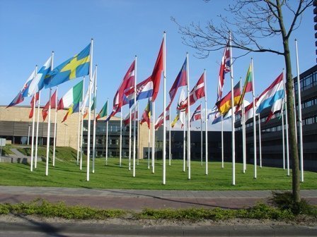 flags web
