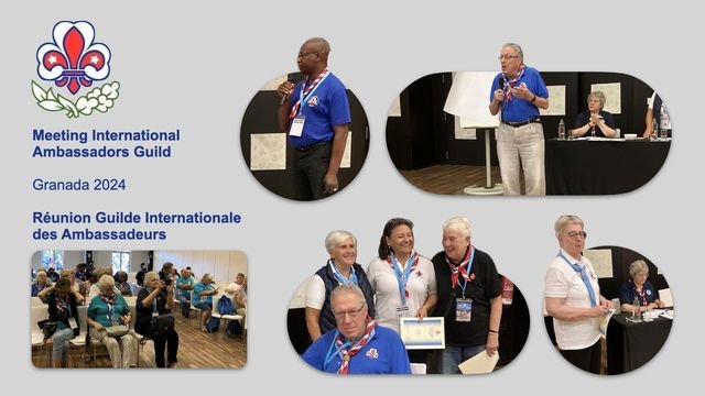 Meeting IAG wconf24 small