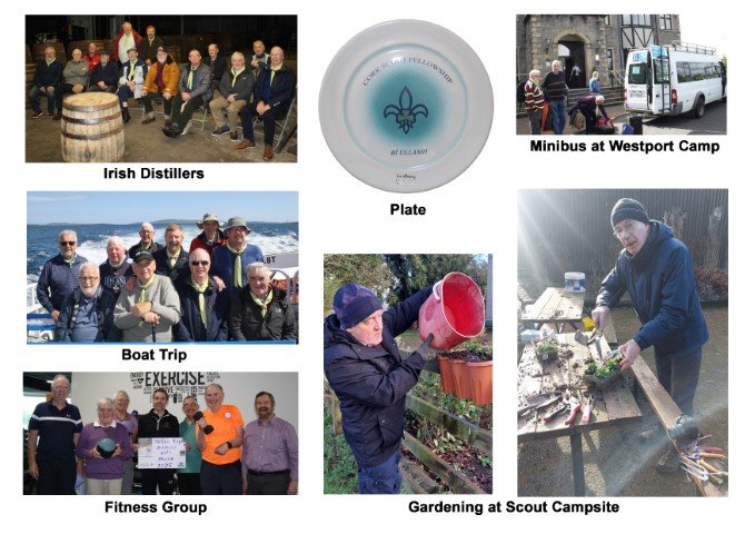 cork fellowship ireland