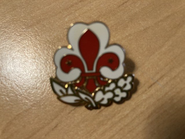 new pin iag