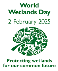 world wetlands day 2025